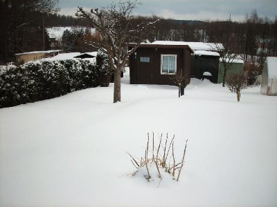 15. Februar